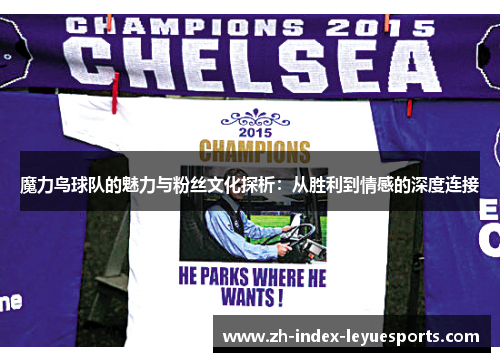 魔力鸟球队的魅力与粉丝文化探析：从胜利到情感的深度连接