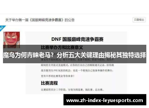 魔鸟为何青睐老马？分析五大关键理由揭秘其独特选择