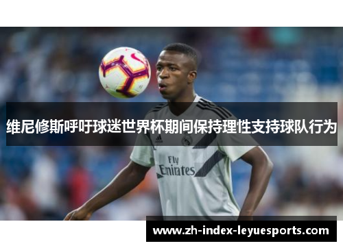 维尼修斯呼吁球迷世界杯期间保持理性支持球队行为